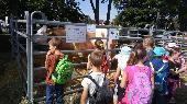 2018-09-13 Vstava skotu